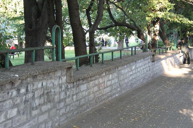 ромен ролан