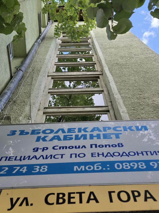 д