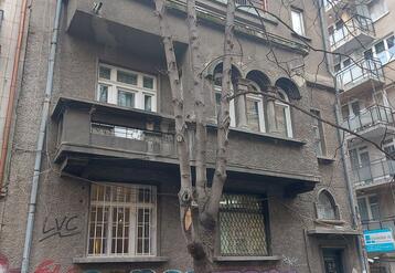 данте